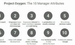 Featured image of post Десять навыков высокоэффективных руководителей по мнению Google